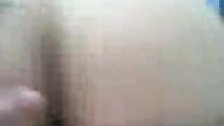 الجنس المصري العربي