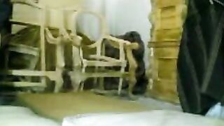 بنت سوريه جامده بتخلع الحجاب علشان تتناك