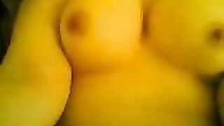 حمار عربى اصيل