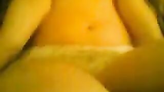 حمار عربى اصيل