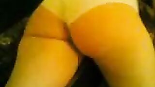 حمار عربى اصيل