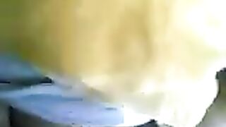 السمين غيغابايت الأعراق ناضجة