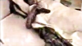 شرموطه من الاردن بتتناك علي الكاميرا