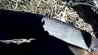 سوريه جامده نيك علي الكاميرا