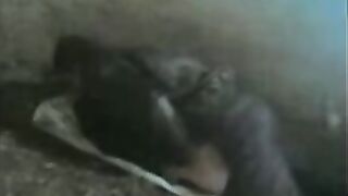 مصرية تنتاك من ثلاثة في الدور