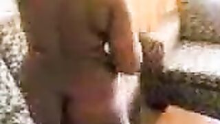 لعق الحمار يضرطن