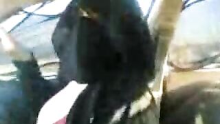 سعودية ترقص وتعرض بزازها في السيارة