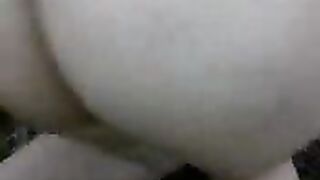 الحمار سيكس أراب ماروك