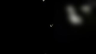 سكس عربية لسيدة ورجلين